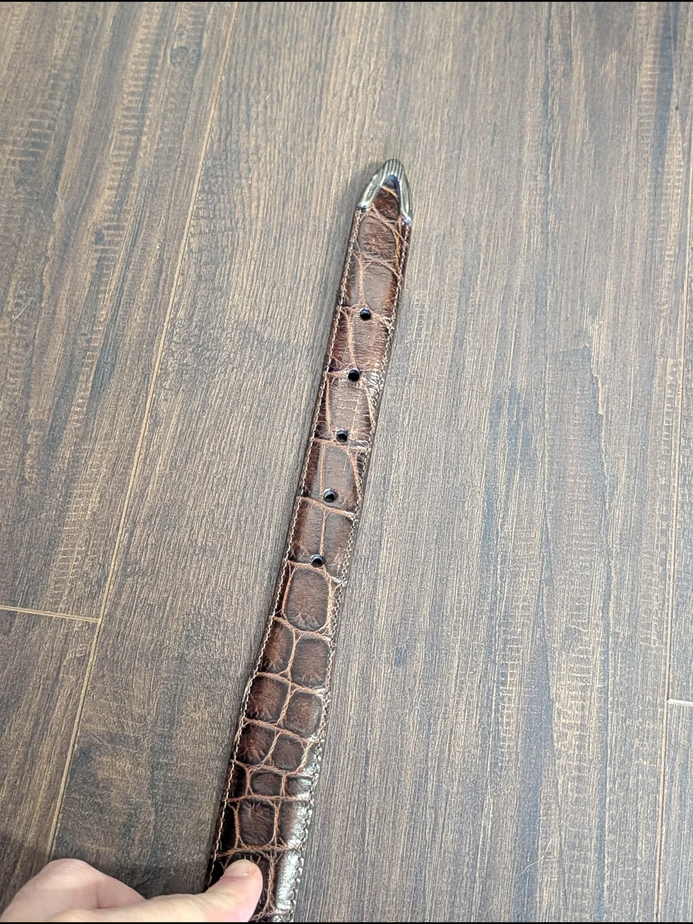 Onyx by Brighton Brown Alligator Leather Belt with Silver Buckle, Keeper And Tip